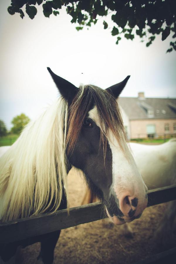 B&B Goed Ten Hulle Pittem Buitenkant foto